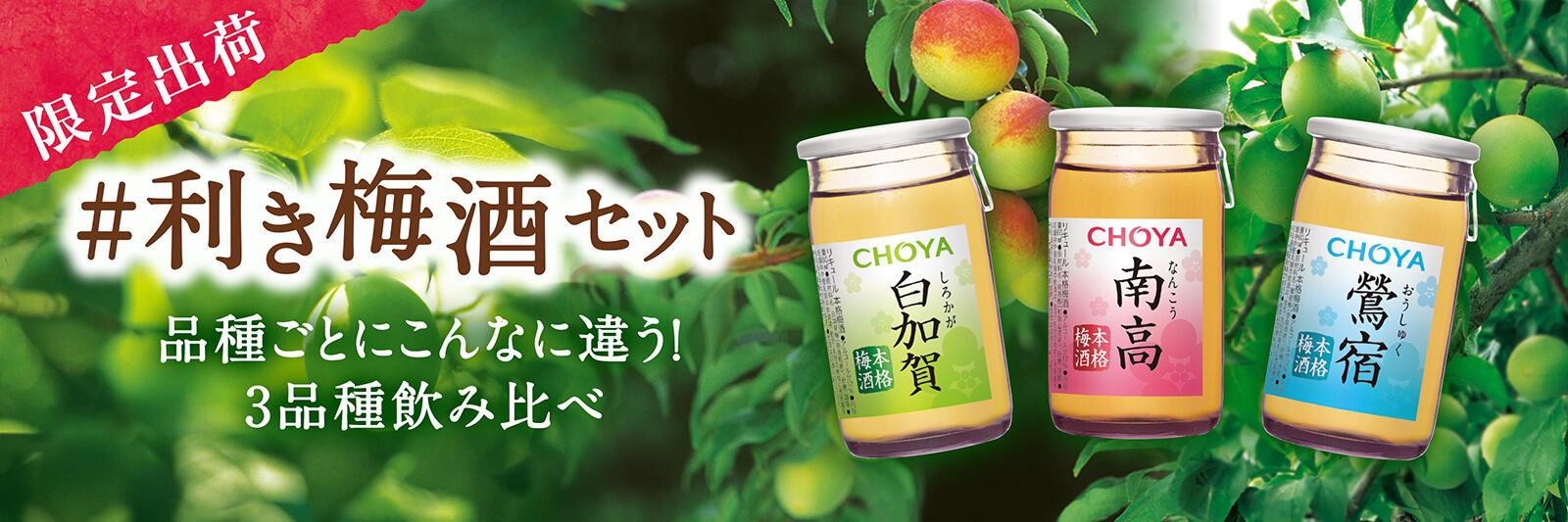 利き梅酒セット