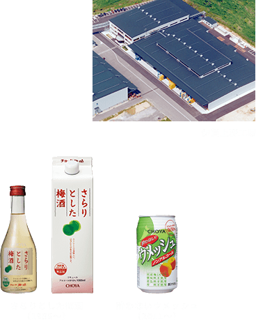 伊賀上野工場 さらりとした梅酒(1996~)酔わないウメッシュ(2011~)