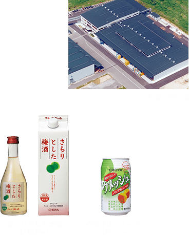 伊賀上野工場 さらりとした梅酒（1996～）酔わないウメッシュ（2011～）